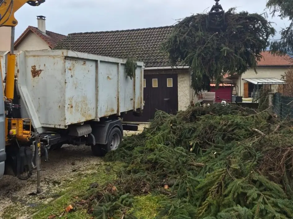 Des branches de sapin chargées à la grue dans un jardin, devant une maison.